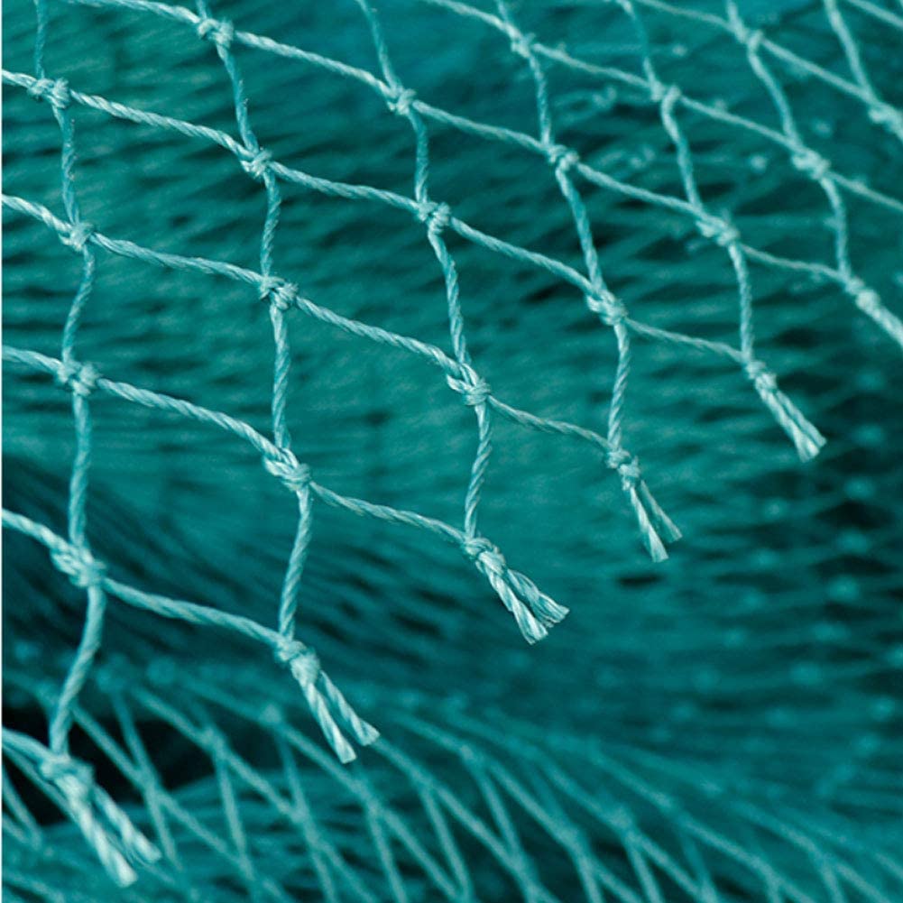 Anti ตาข่ายสวนสุทธิและพืชป้องก - Fishing Equipment Net บทวิจารณ์และราคา