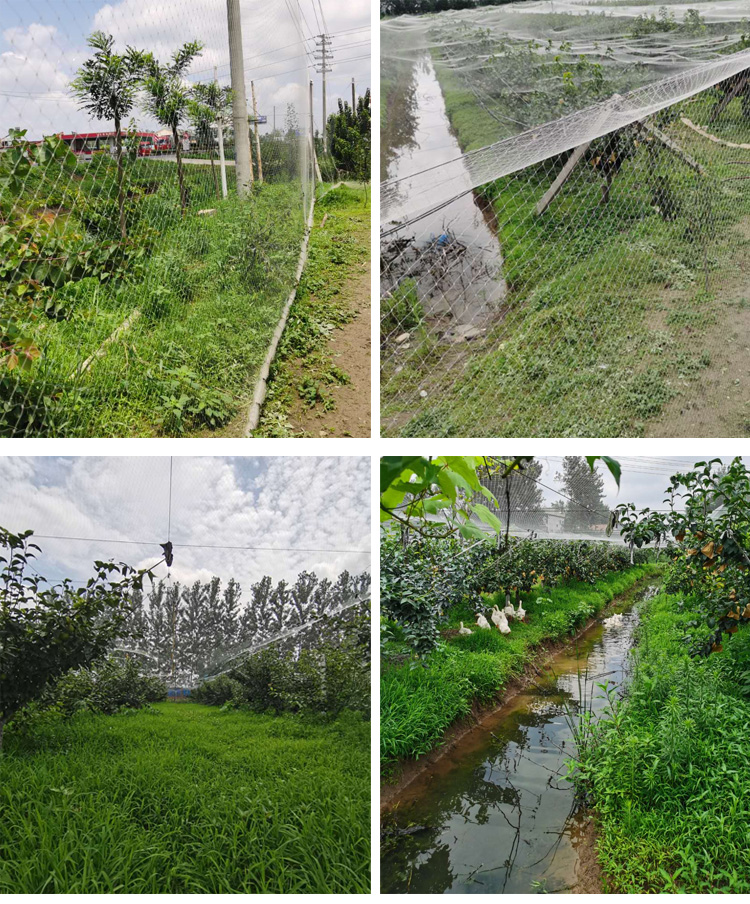 Heavy Duty ตาข่ายไนลอน,Knotted - Fishing Equipment Net บทวิจารณ์และราคา